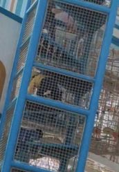 -季高兔窝窝亲子园(上海薰衣草公园店)