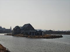 -荷兰花海