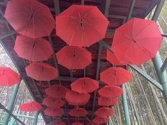 -陶祖圣境风景区