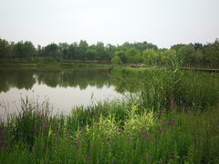 -东郊湿地公园