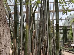 -南山植物园
