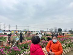-上海山野camping·户外天幕烧烤·团建拓展营地