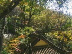 -丹东市五龙山风景区