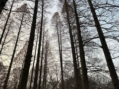 -WeLope紫金山探险公园