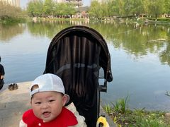 -洋湖国家湿地公园