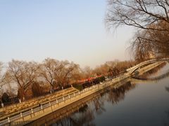 -永定河休闲森林公园