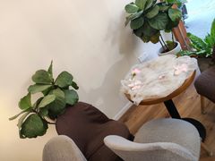 -暴暴熊