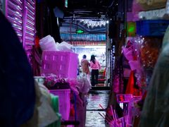 -青石桥花鸟鱼虫市场(叠翠城店)