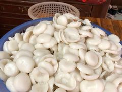 -共和老洪豆花草粿水粿