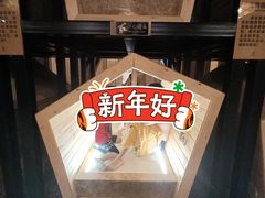 -水王国温泉水世界