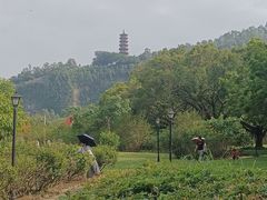 -南沙蒲洲花园