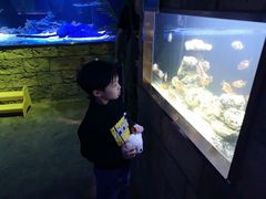 -zoonana室内动物园(东方福来德店)