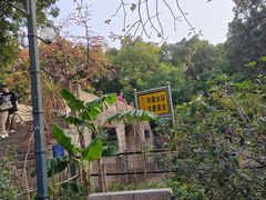 -晓港公园