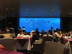 大堂-雨林餐厅(长隆海洋王国店)