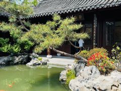 -水绘园