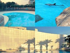 -上海海昌海洋公园