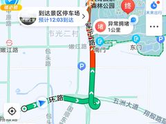 -上海共青森林公园