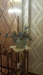 -茜尔维亚修身连锁(八佰伴店)