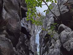 -千岛湖石林