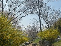 -羊山湖公园