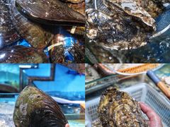 -渔人湾码头海鲜市场负二楼