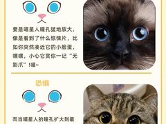 -申普宠物医院(总院)