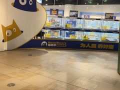 -武汉光谷K11
