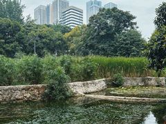 -成都市活水公园