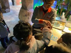 -酷嗒动物文化乐园(cutezoo西溪乐天城店)