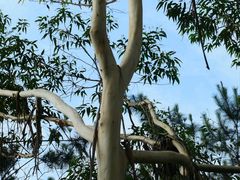 -风云岭森林公园