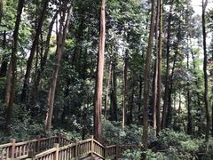 -凤栖山