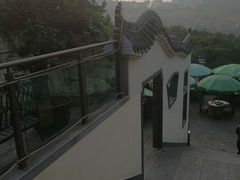 -老幺泉水鸡