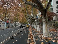-南京市民俗博物馆(甘熙故居)
