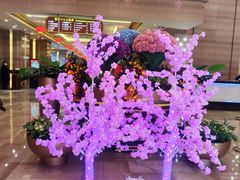 -东方印象大酒楼(拱北店)