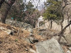 -北京鹫峰国家森林公园