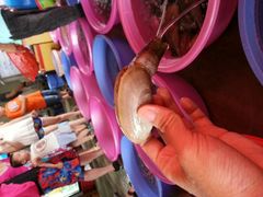 -幸福姐海鲜大排档