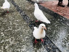 -王府井奥莱临潼小镇(临潼店)