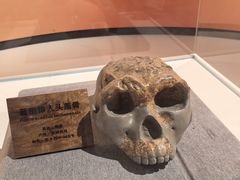 -陕西自然博物馆