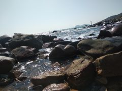 -广东惠东海龟国家级自然保护区