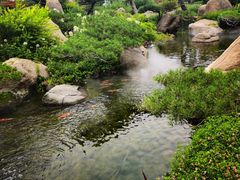 -罗红摄影艺术馆