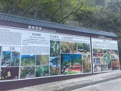 -北京上方山国家森林公园