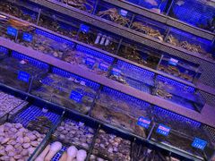 -青蓬蒸汽海鲜·深圳老字号·团建聚会(壹方城店)