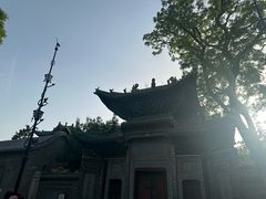 -迎泽公园