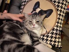 -咖法森林·咖啡  酒吧(天河店)