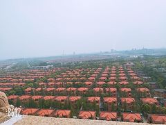 -华西村