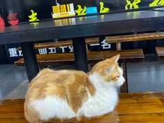 -秦云老太婆摊摊面(磁器口店)
