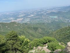 -大觉寺-停车场