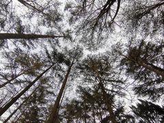 -八大关景区