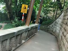 -重庆彩云湖湿地公园