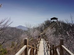 -大岭沟猕猴桃谷风景区